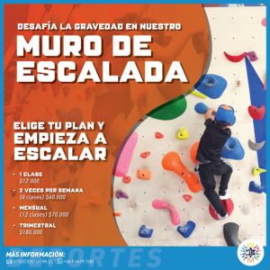 Muro De Escalada 2025